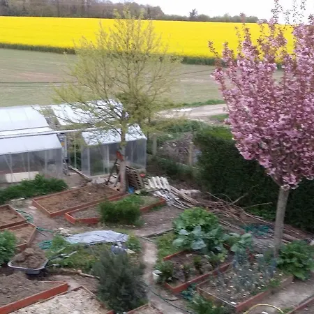 Les Nympheas, Appart Au Calme Et Grand Jardin A 15 Min De Disneyland,